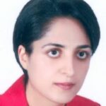 Naghmeh Karimi, PhD